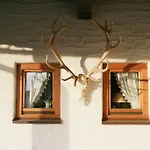 Hotel Alpensonne 3*