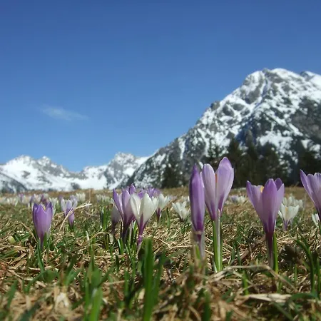 Hotel Alpensonne Riezlern