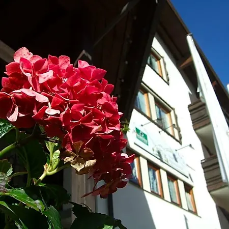 Hotel Alpensonne Riezlern