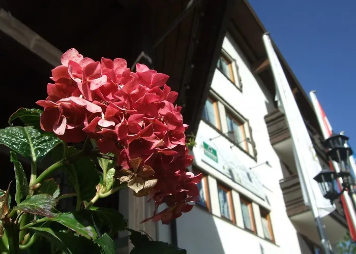 Alpensonne 3* Riezlern